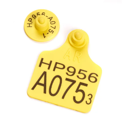 Laser marking of a plastic animal ear tag